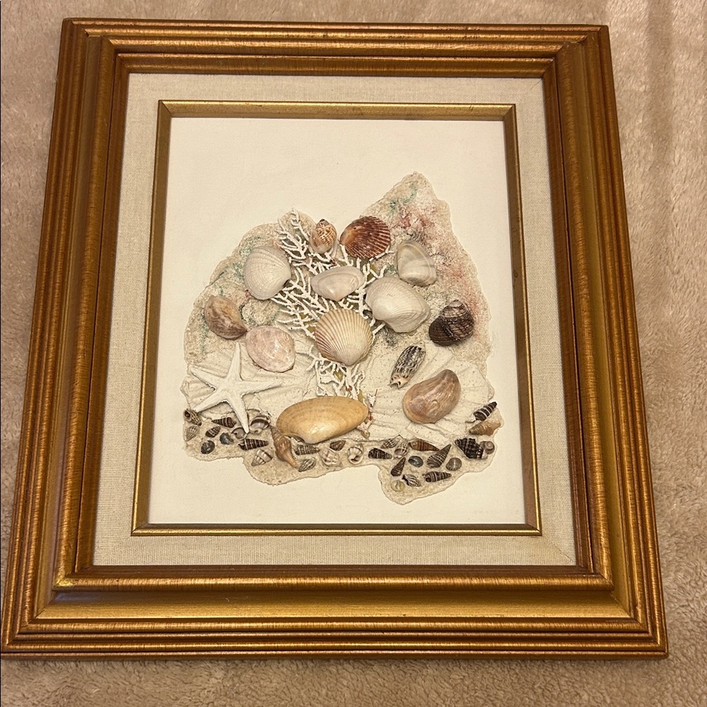 Gold Framed Seashell Art